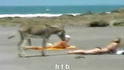 Une foule de jeunes video gratuite vieux gay filles suce un veinard